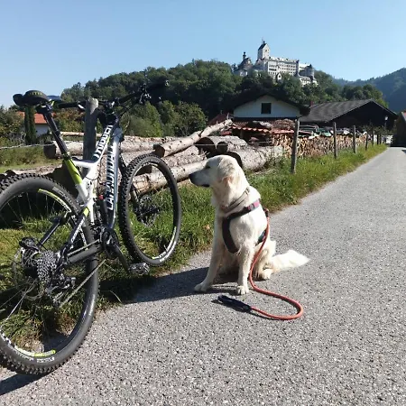 Ciao-aschau Haus Zur Burg Ap102 Biedermann Lejlighed *